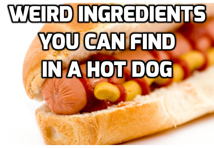 Health Warnings - What is Actually in a Hot Dog? There is no doubt that Americans love a good hot dog. But what you can find in a hot dog can make you throw up. Read this 1st before you are going to eat a hot dog.