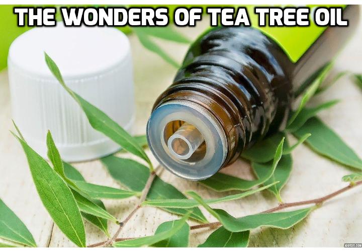 25 Really Wonderful Tea Tree Oil Benefits for You - Tea tree oil is noted for its anti-microbial properties, fighting bacteria, inhibiting the growth of fungi, and potentially wiping out certain viruses. Read on here to learn about the 25 tea tree oil benefits.