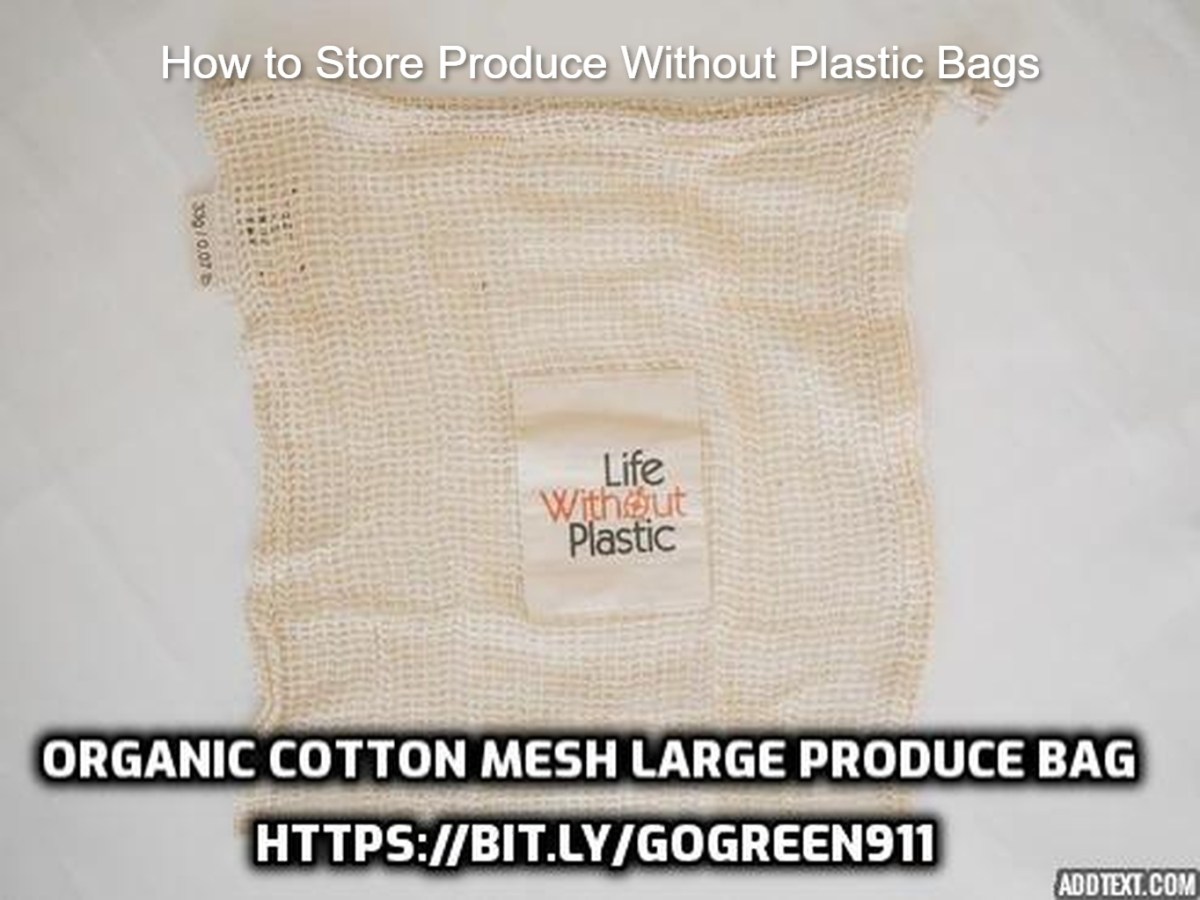 Plastic-Free Produce Storage: Tips to Keep Food&nbsp;Fresh